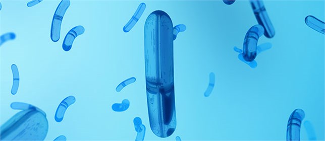 多种乳酸菌发酵 多种乳酸菌发酵